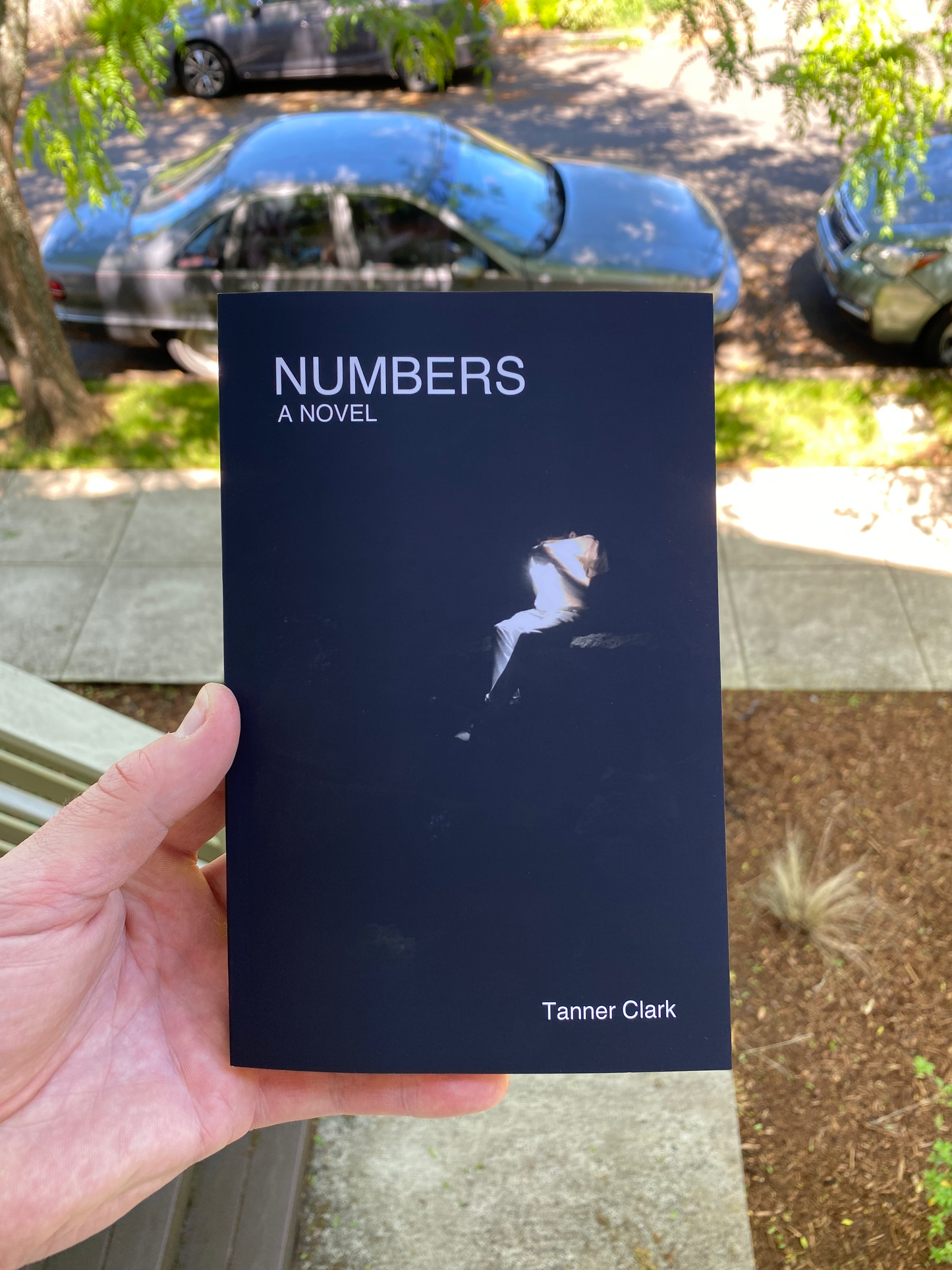 NUMBERS, A NOVEL