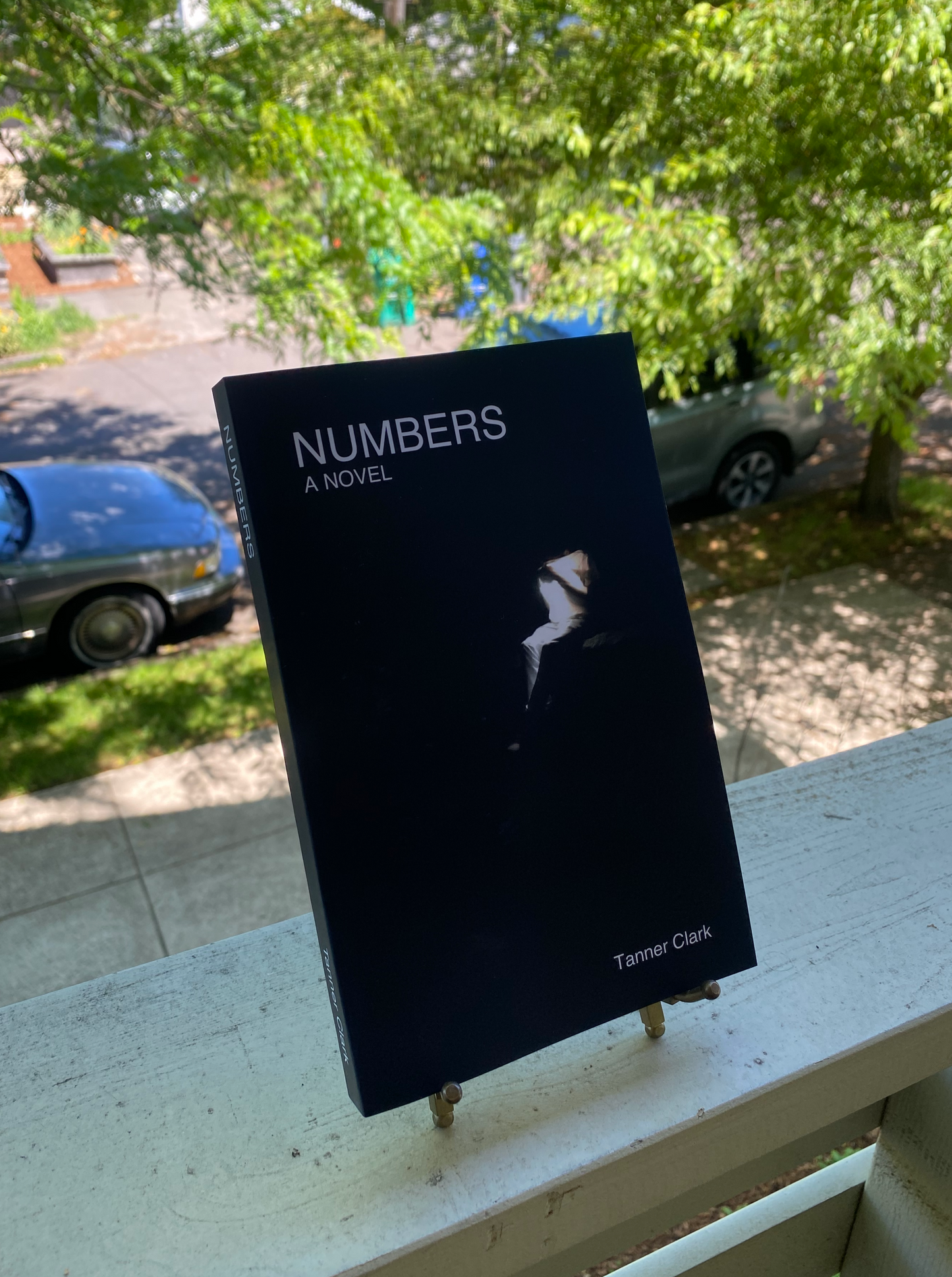 NUMBERS, A NOVEL