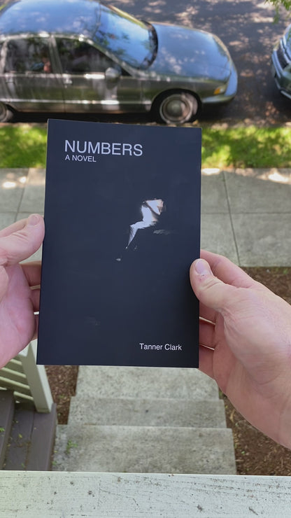 NUMBERS, A NOVEL